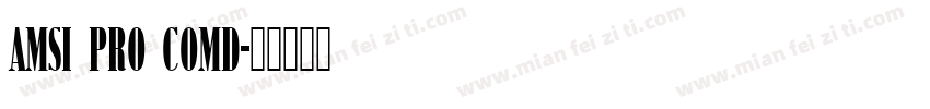 Amsi Pro Comd字体转换
